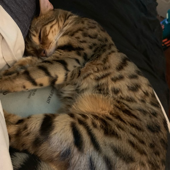 Meet your Posher, Shelley primeau - Picture 8 of 17